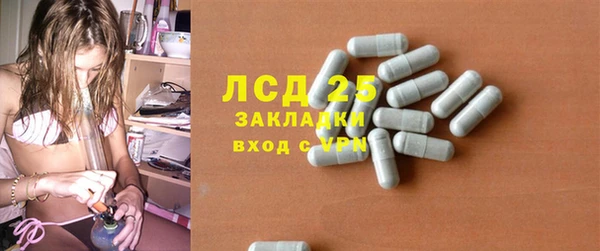 гидра Алексеевка
