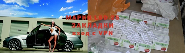 гидра Алексеевка