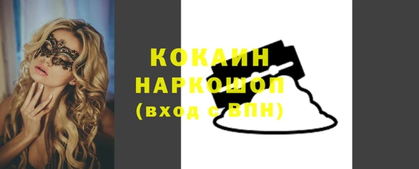 мет Алексин
