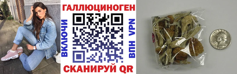 кракен tor  сколько стоит  Кимры  Псилоцибиновые грибы Magic Shrooms 