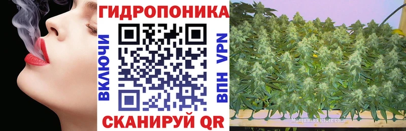 Марихуана AK-47  KRAKEN ссылки  Кимры  дарнет шоп 